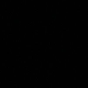 Meet your Posher, Peyton